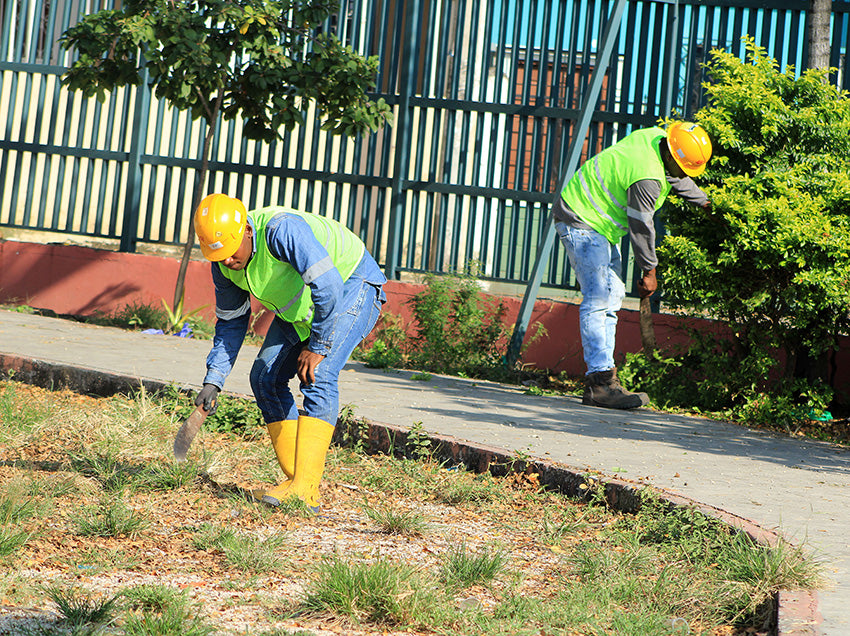 Servicios Generales